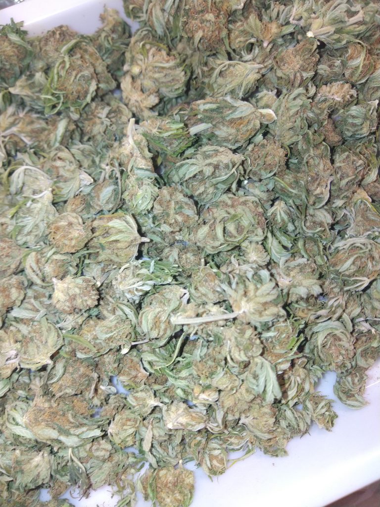 fleurs small buds cbd chanvre